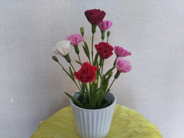 樹脂粘土の花作品 販売いたしました 60歳定年後からの趣味 クレイアートフラワー